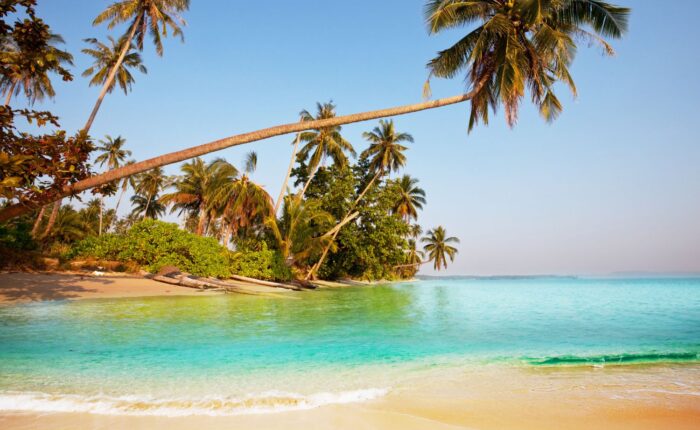 Andaman Tour Package