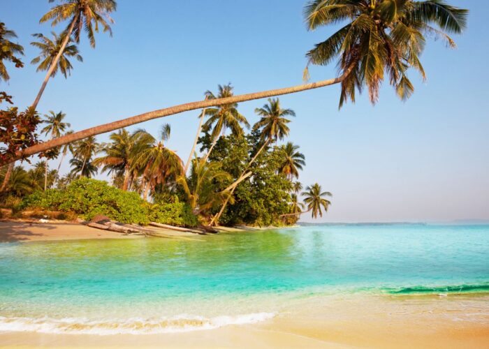 Andaman Tour Package