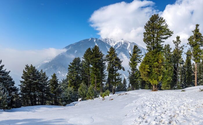 Kashmir Tour Package