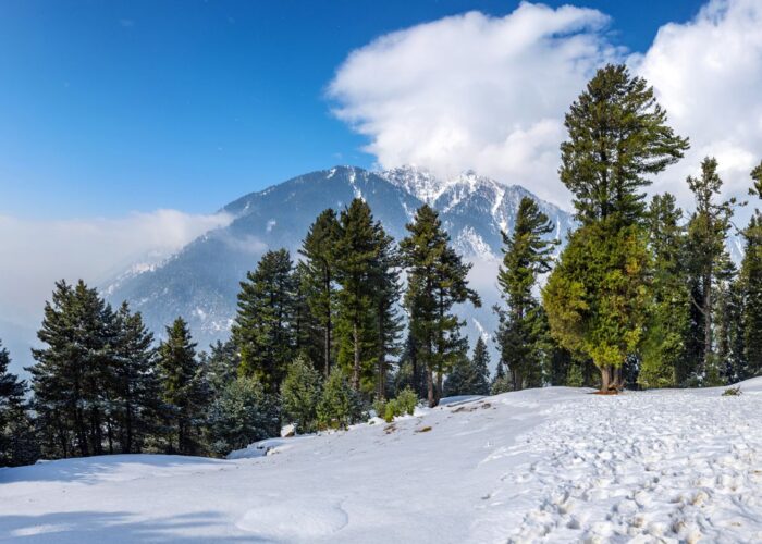 Kashmir Tour Package